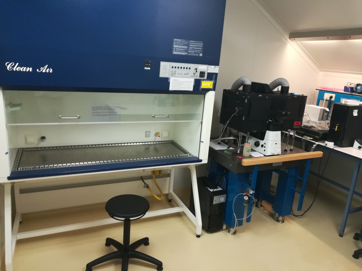 Microorganisms Biology Research Unit: URBM Molecular bacteriology and ...