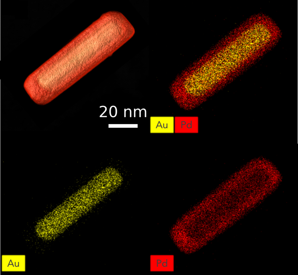 Analysis of an AuPd nanorod. The top-left image visualizes an electron tomography experiment, while the other images are elemental maps showing the distribution of the different chemical elements. Together, they confirm that the nanorod has a gold core surrounded by a palladium shell. © University of Antwerp & Guillermo González-Rubio