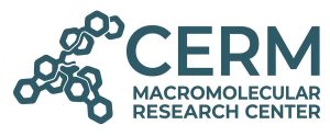 final logo cerm 2026